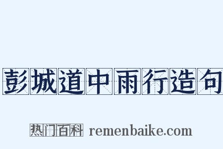 彭城道中雨行造句是什么意思的图片